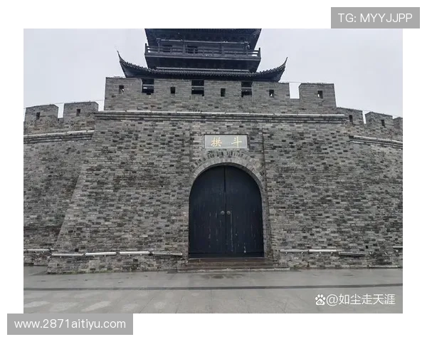 2025年白菜未来价格行情预测及分析报告