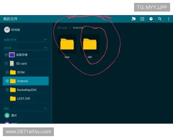 全面解析Obb游戏文件的作用与使用方法